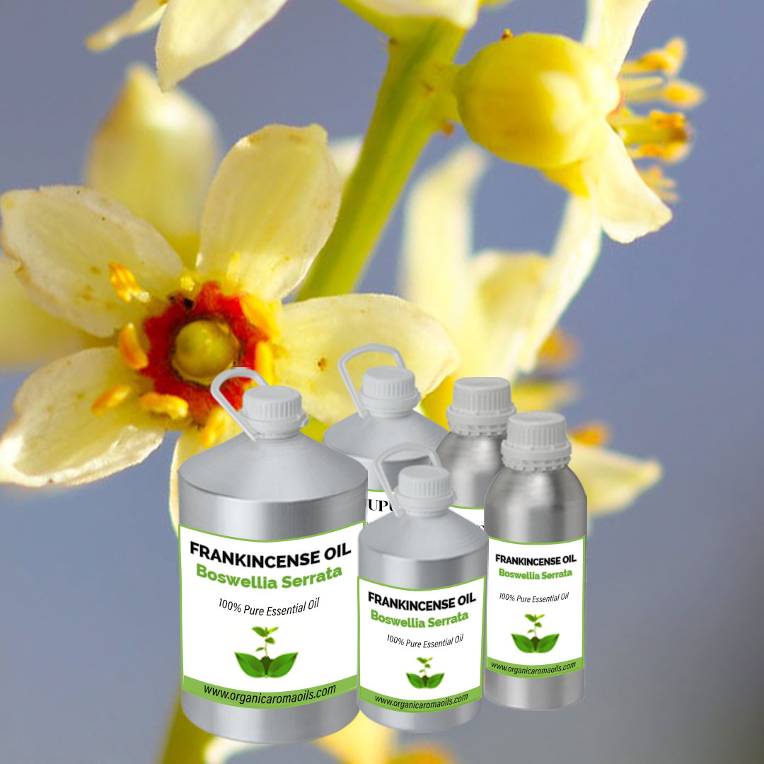 Buy Frankincense Oil Online, Wholesaler, Bulk Supplier – Organic Aroma Oils