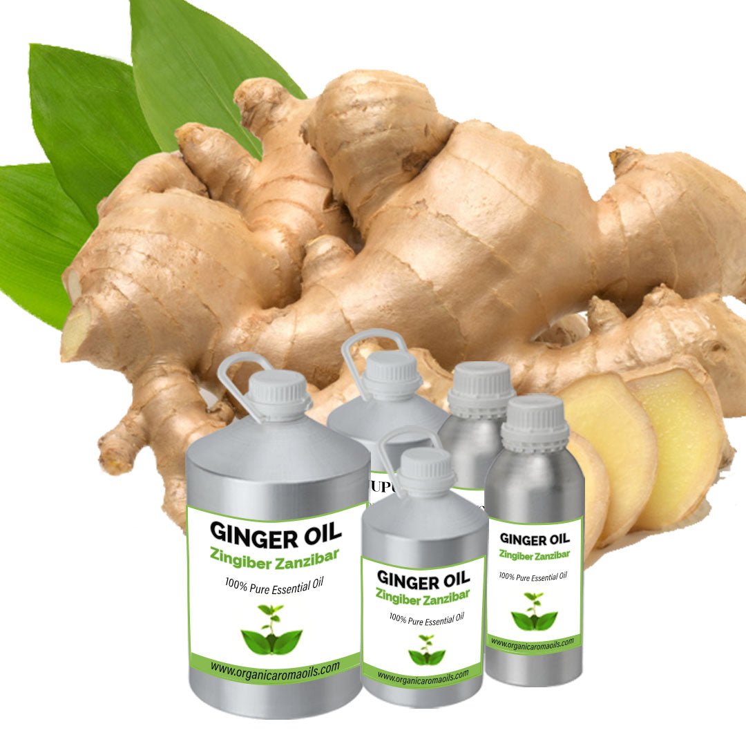 Ginger Oil
